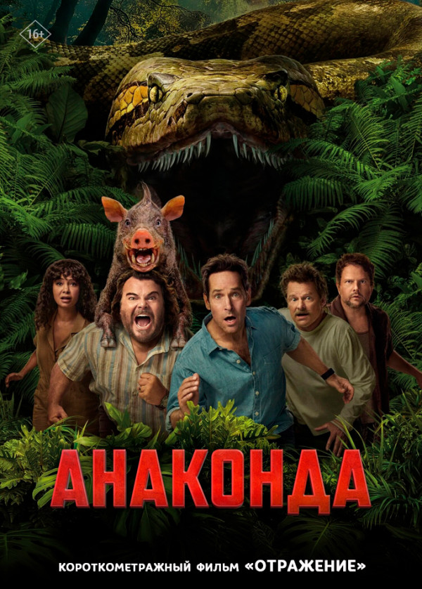 Анаконда предсеанс. обсл. & Отражение